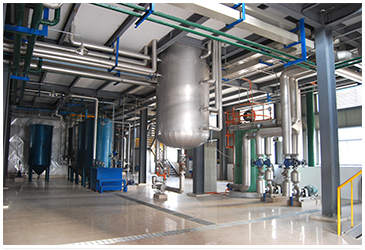 亚麻籽油精炼设备