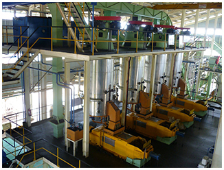 棕榈油精炼设备