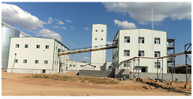 菜籽油精炼设备