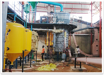 茶籽油生产设备