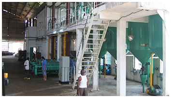 尼日利亚食用油精炼设备