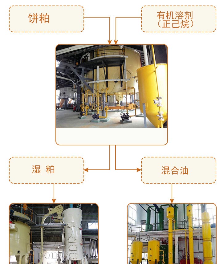 花生油浸出工艺流程