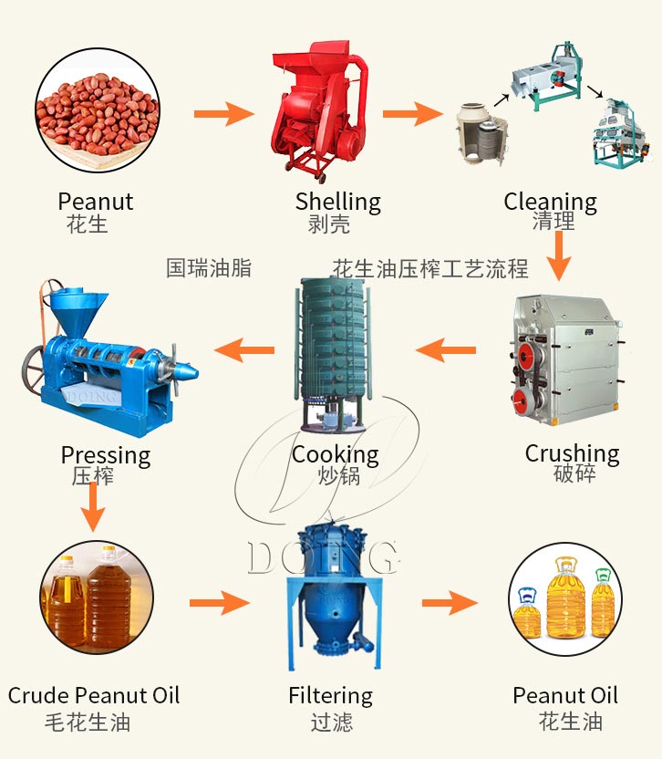 花生油压榨工艺