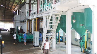 尼日利亚食用油生产设备