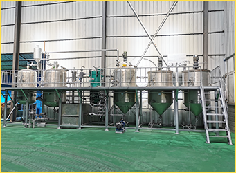 小型食用油精炼设备