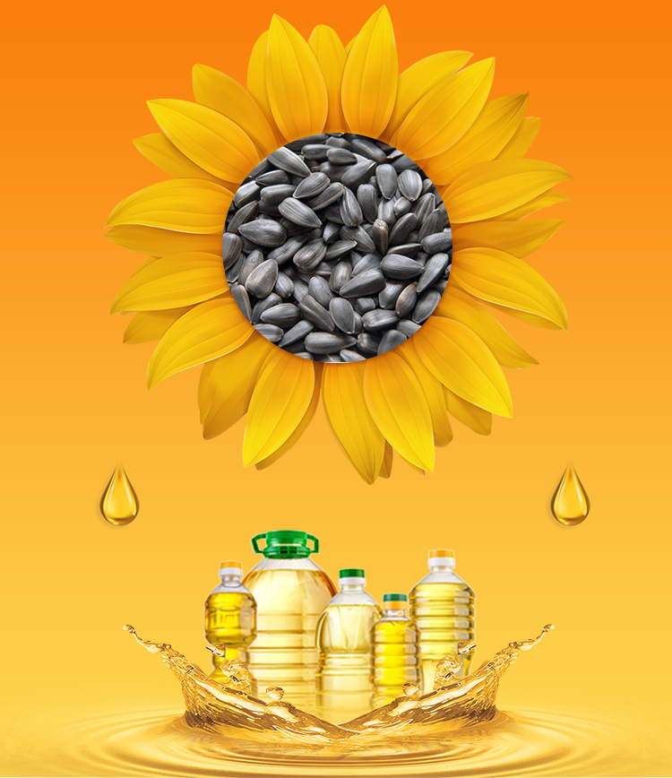 葵花籽油料