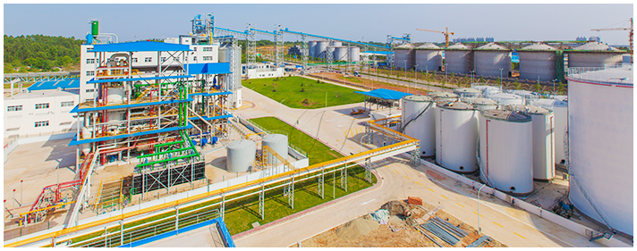 食用油设备项目