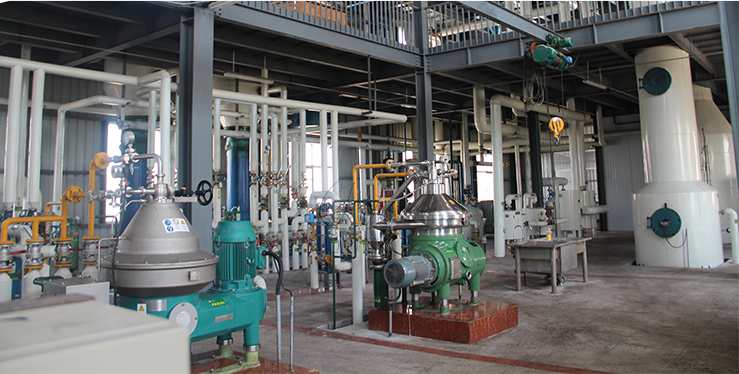 大型棉籽油精炼设备