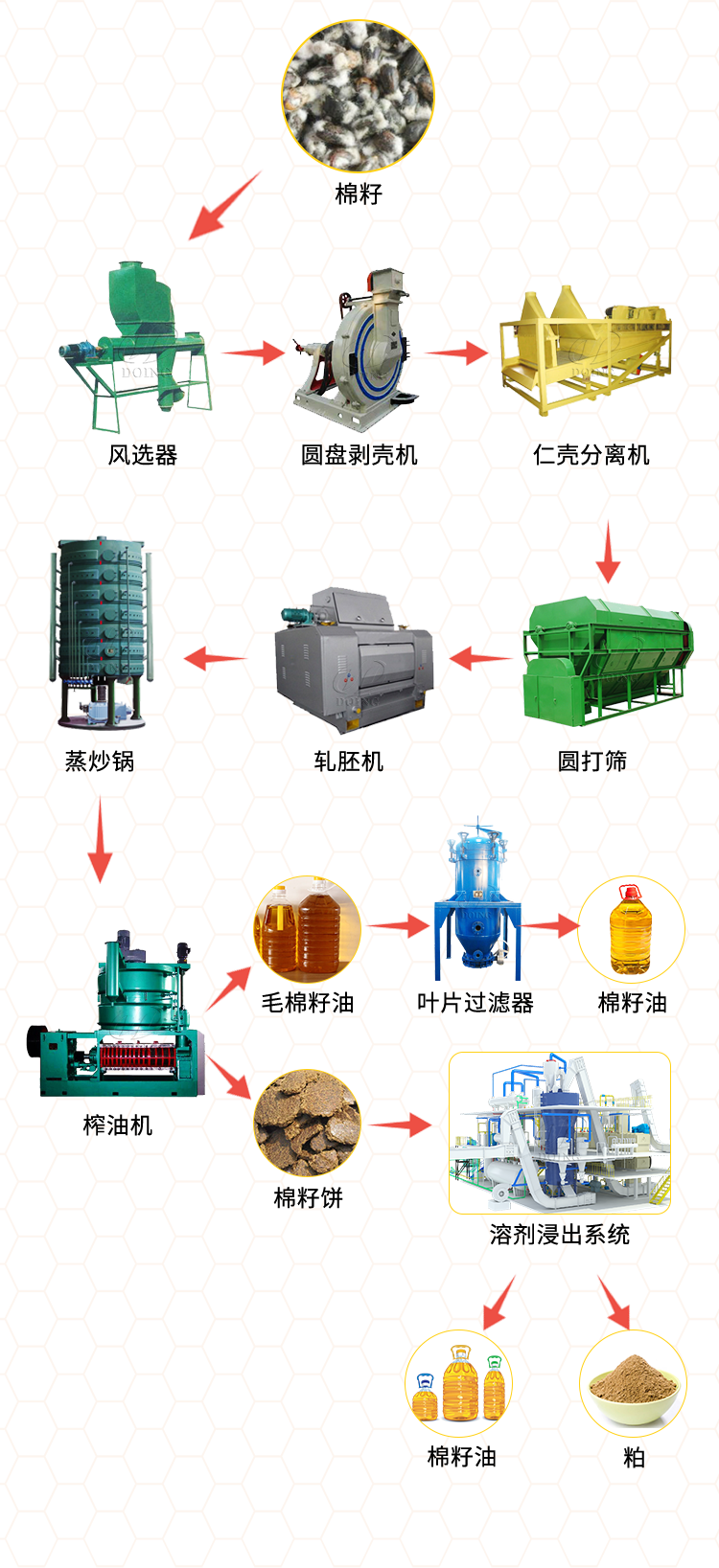 大型棉籽榨油生产线流程