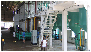 尼日利亚油脂精炼设备