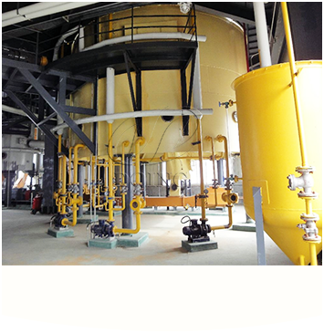 棉籽油浸出设备